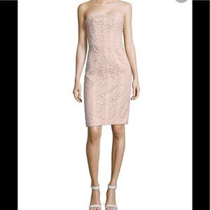 Corded Lace Sheath J. Mendel  color Blush